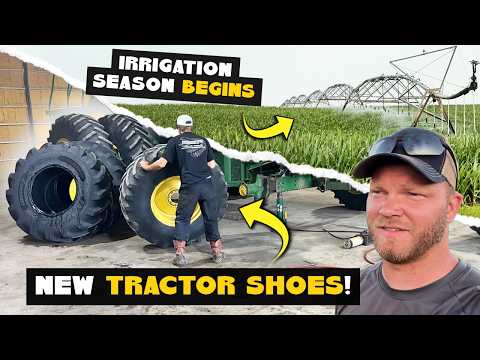 NEW TRACTOR SHOES! | Irrigation Season Begins