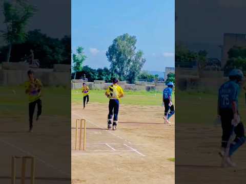 Brilliant Bowling By shazaib💯 #cricket #bowlingcenter #cricketlover #viral #bowlervibes