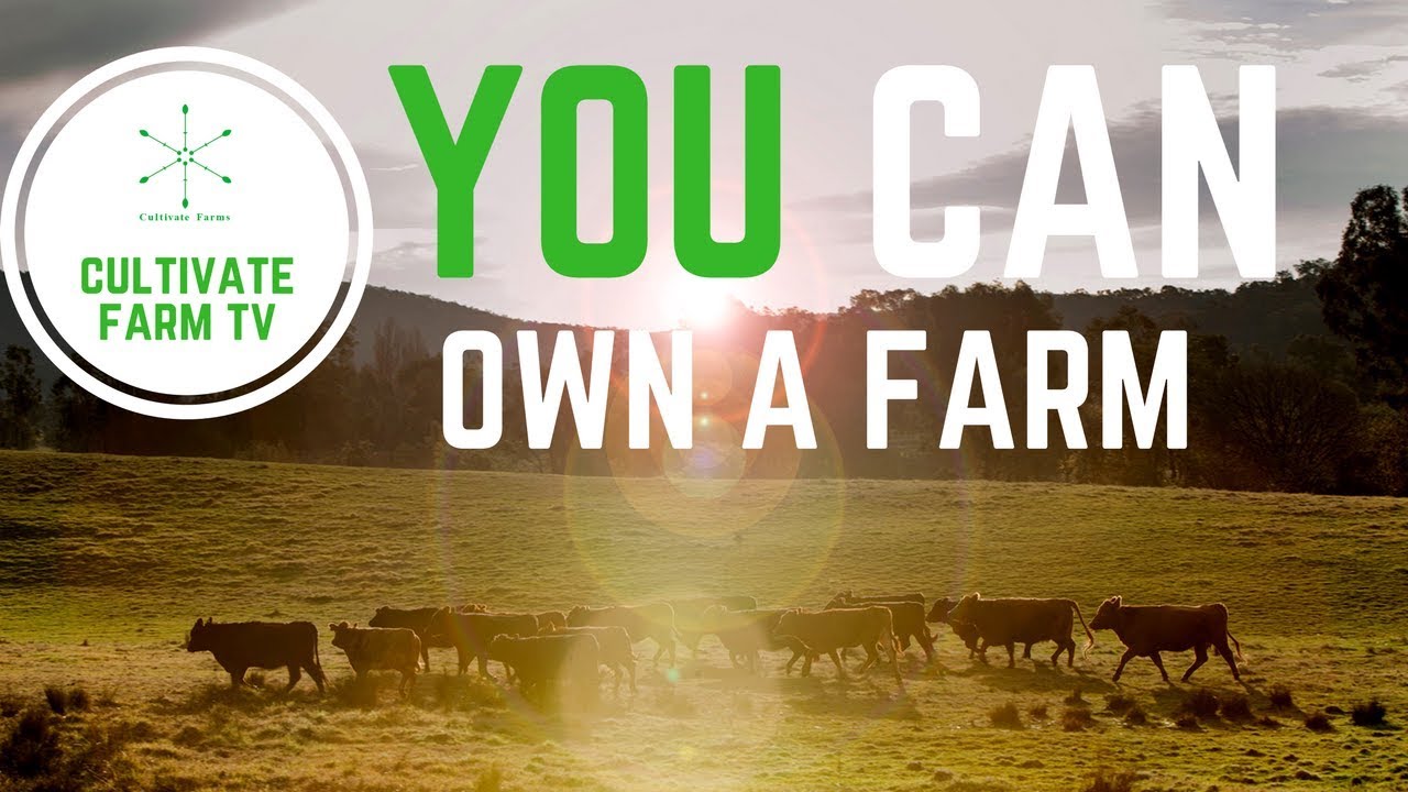 What we do to make your farm dream a reality YouTube