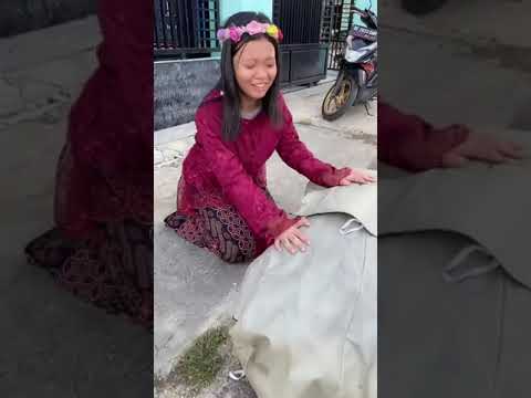 vidio kocak dn gokil @nyaikembang1nyaikembang1 /kisah Malin Kundang part 2 dong?