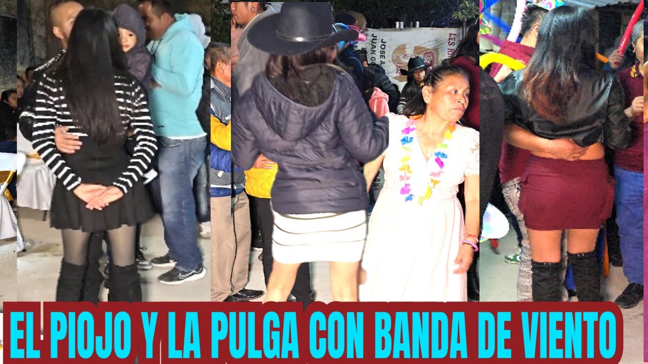 BANDA EL CANARIO TOCANDO EL PIOJO  Y  LA PULGA