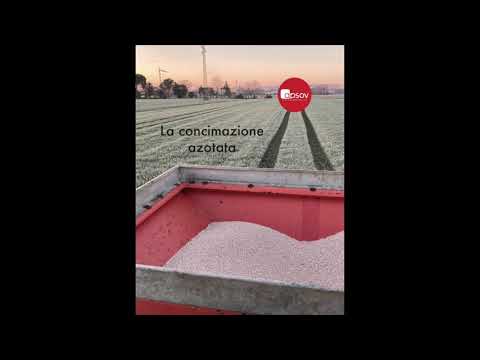 Video: Di quali condizioni ha bisogno il grano per crescere?