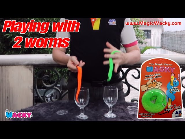 Wacky The Magic Worm on a String Looks alive 