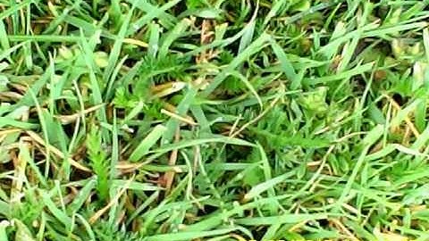 hz supercub lp crash with aerial drop module