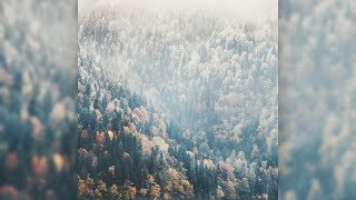 Shuta Yasukochi - ‎Short Stories [Full Album]