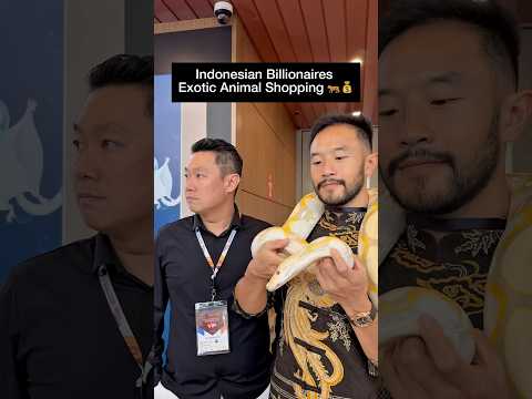 Indonesian Billionaires Exotic Animal Shopping