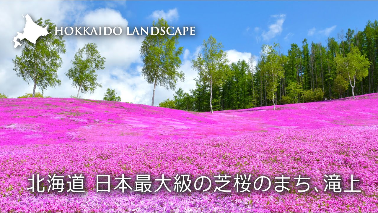 空撮・北海道謳歌 maxresdefault.jpg