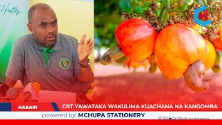 Wakulima Wa Korosho Waaswa Kuachana Na Wanunuzi Wa Kangomba.