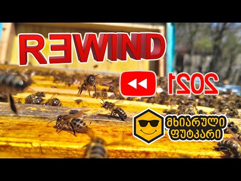 REWIND 2021 - მხიარული ფუტკარი