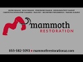 Mammoth Animation Video