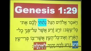 SLOW READING OF GENESIS 1:29 IN THE HEBREW LANGUAGE