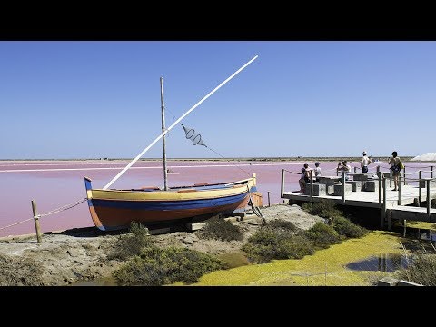 Video-thumbnail van Camping Barberousse