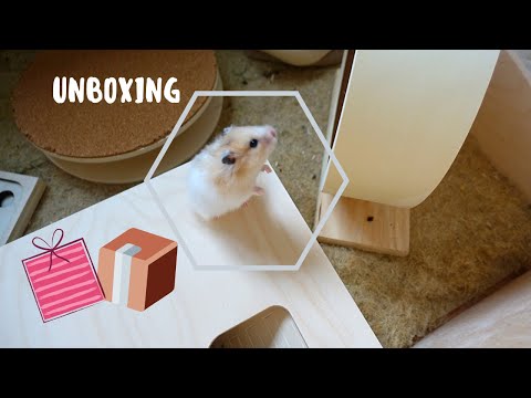 Getzoo Unboxing: Shopping für meinen Hamster :)