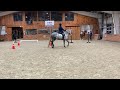 Working Equitation