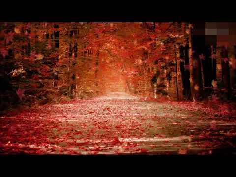 逢いたくていま / MISIA (ドラマ「JIN -仁-」主題歌)  ┃Cover by Ray