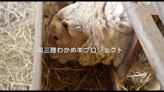 宮城県南三陸町の地元の産業発展を目指した、 夢の創造によるMade in All Japanのものづくり 【南三陸わかめ羊プロジェクト】が、いま、始まる。