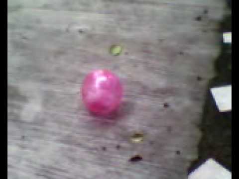 Hammy's exercise ball. pt.3 hamster care