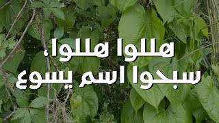 هللوا هللوا، سبحوا اسم يسوع || ترنيمة بالكلمات