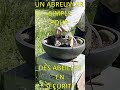LE BAR À ABEILLES
