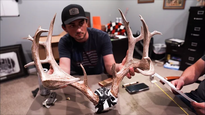 Unveiling the True Size and Wonder of the Kansas Buck