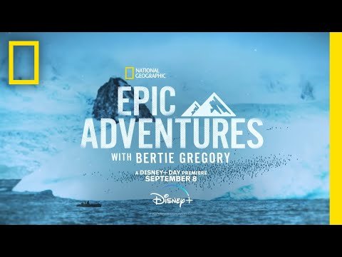 Witness the Majestic Fin Whale | Epic Adventures with Bertie Gregory on Disney+