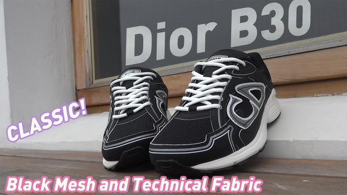 DIOR SHOES-DIOR B30 Dhgate Sneakers Unboxing Review（Grey） 