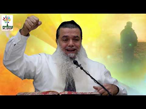 נטילת ידיים וברית קודש - הרב יגאל כהן - שידור חי HD