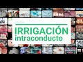 Ejercicios _ IRRIGACIÓN INTRACONDUCTO - Medicamentos Endodoncia.