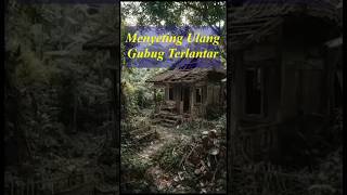 Menyeting Ulang Gubug Terlantar