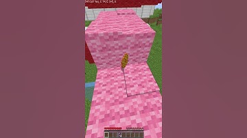 #shorts How eat honeycomb