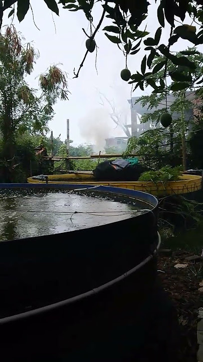 KOLAM BERASAP