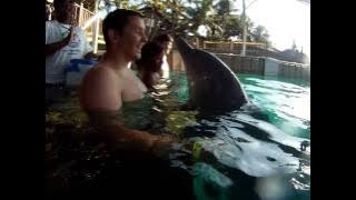 Dolphin hugs and kisses