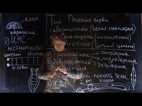 Плоские черви. Ресничные, сосальщики и ленточные | Andrey Biology