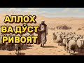 АЛЛОХ  - МЕНДАН НЕГА ҚЎРҚАСАН РИВОЯТ Шайх Саййид Рахматуллох Термизий