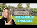 SUMMERLYN NEIGHBORHOOD TOUR [NOLENSVILLE TN]