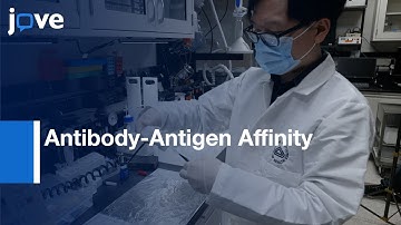 Antibody-Antigen Affinity Determination by Mass Photometry | Protocol Preview