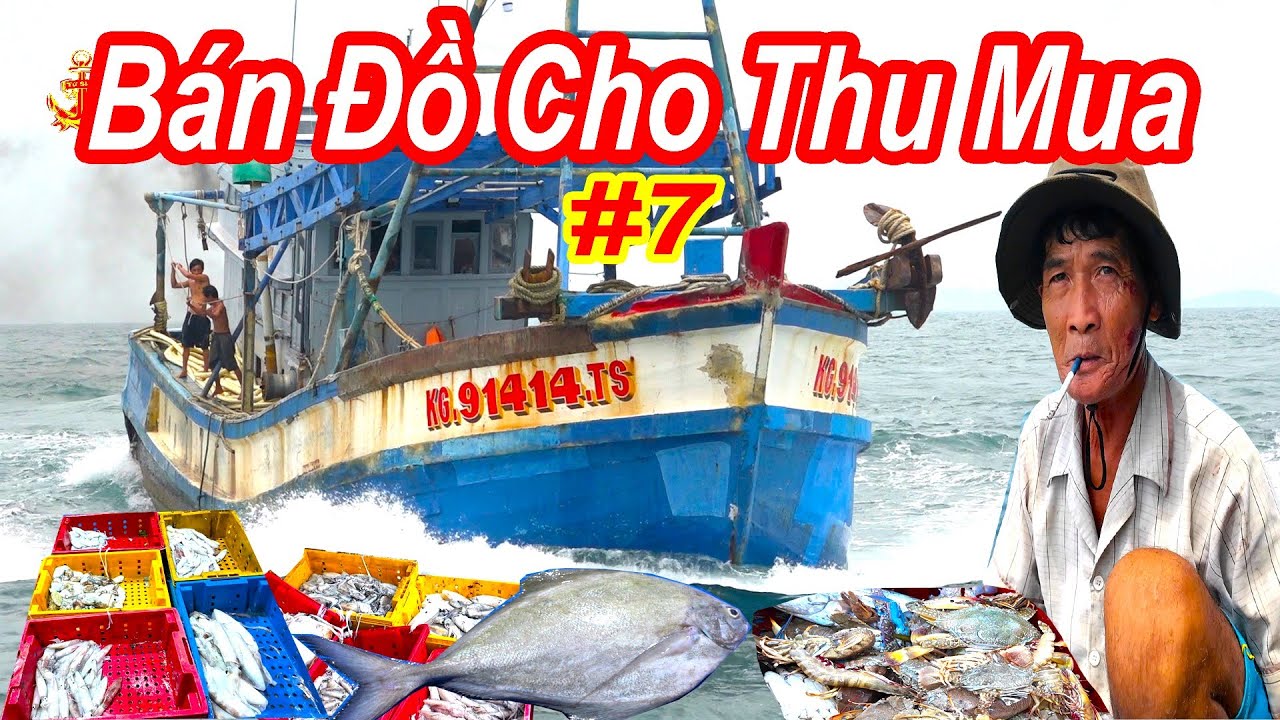 Ngư Dân Bán Đồ Cho Ghe Thu Mua Hải Sản Trên Biển || Đánh Bắt Hải Sản 2024 (P7)