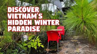 Warm Sunshine and Peaceful Living in Vietnam