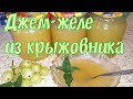 Джем - желе из крыжовника