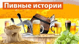 18+ Лучшее видео под пиво о Москве: про пивные, производство и традиции