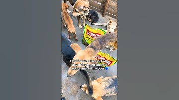 Your support means alot at our shelter. please donate.#goviral #dogs #care #adopt #rescue #kindness