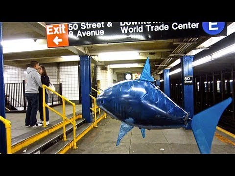 the flying shark in NYC by Casey Neistat