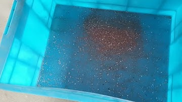 Electrostatic separation V-ES1000 TEST - VANER MACHINERY