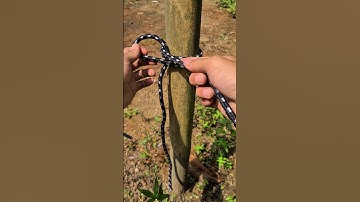 Tips And Trick Bowline Knot#knots #knottying #howtoknot #ropework #usefulknots #diytutorial #shorts