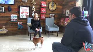 Consultation: Nilah  Client Referral, 1 Year Basenji Not Potty Trained, OffLeash Obedience