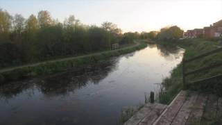 Somerset England Canal Summer Evening Sounds For Relaxing, Focus or Sleep