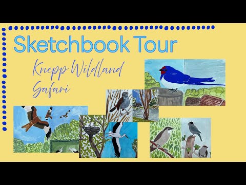 Knepp Wildland Sketchbook Tour (Part I)