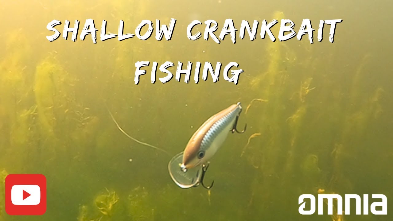 Post Spawn Crankbait Fishing Tricks – Speed Cranking For Aggressive Bass!