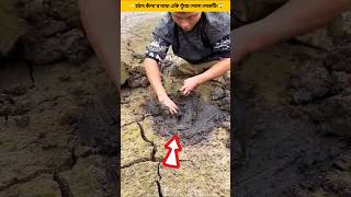 Building Wooden Log Cabin in Forest 🌲🤯 | Survival House Step by Step "7 #shorts