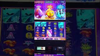 Gold Fish Feeding Time Frenzy Slot Machine Play $12 Bets
